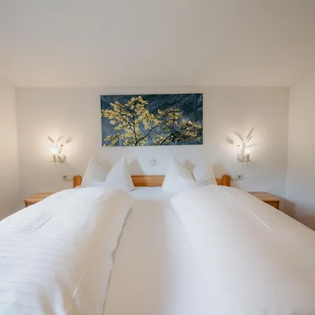 ホテル Alpengasthof-hotel Kopphuette 3*